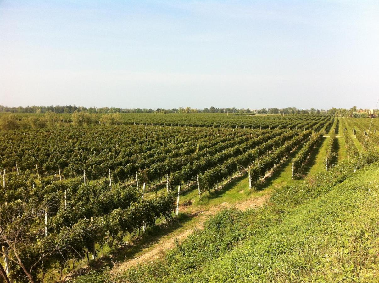 Cascina Tabachera X10 Country House Sirmione Garda Lake Pozzolengo Phòng bức ảnh